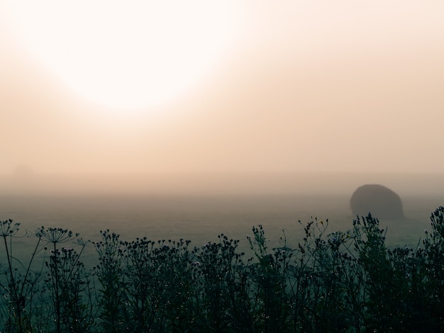 Photo dense fog envelops the idyllic landscape