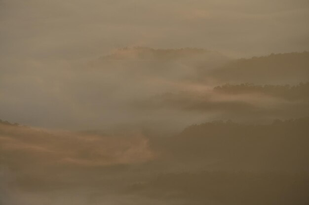 Foto una fitta nebbia scorre su una collina al mattino