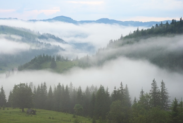 Dense fog over summer mountains