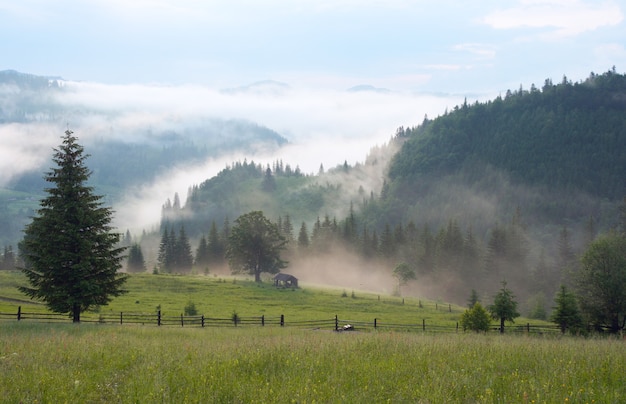 Dense fog over summer mountains