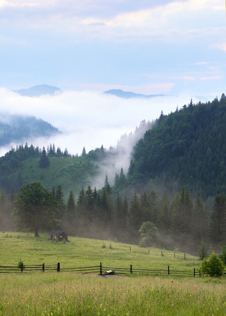 Dense fog over summer mountains