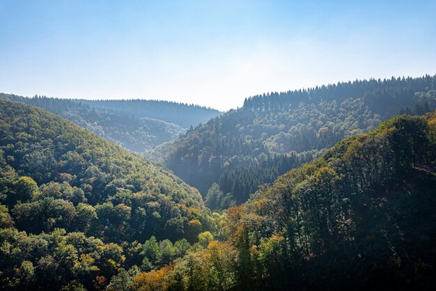 Foto densa foresta nella germania occidentale sulle colline nella stagione autunnale