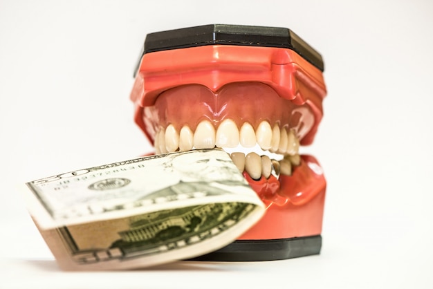 Dental dentures isolated