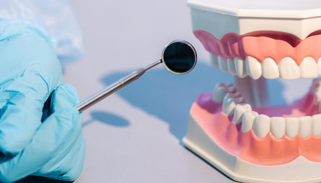 A dental doctor wearing blue gloves and a mask holds a dental\
model of the upper and lower jaws and a dental mirror