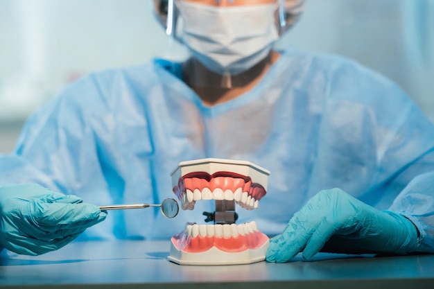 Врач-стоматолог в синих перчатках и маске держит стоматологическую модель верхней и нижней челюстей и стоматологическое зеркало.