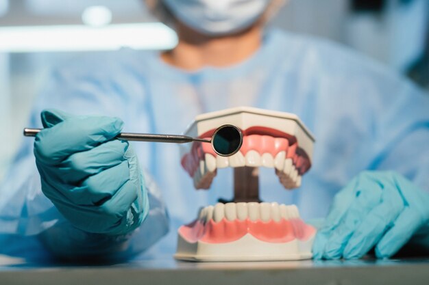 A dental doctor wearing blue gloves and a mask holds a dental model of the upper and lower jaws and a dental mirror.