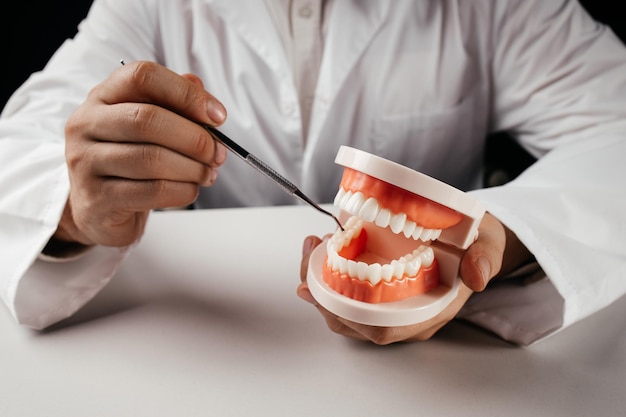 Концепция стоматологического здоровья Врач с стоматологическим инструментом и челюстью