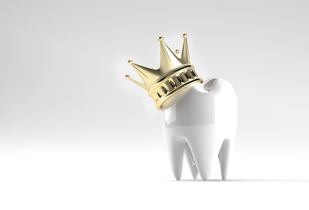 Photo dental king model of premolar tooth 3d rendering.