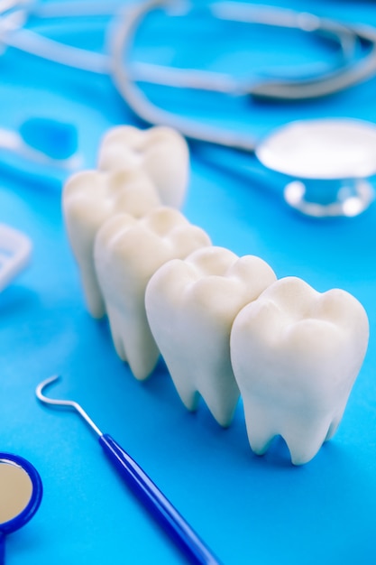 Dental model and dental equipment on blue
