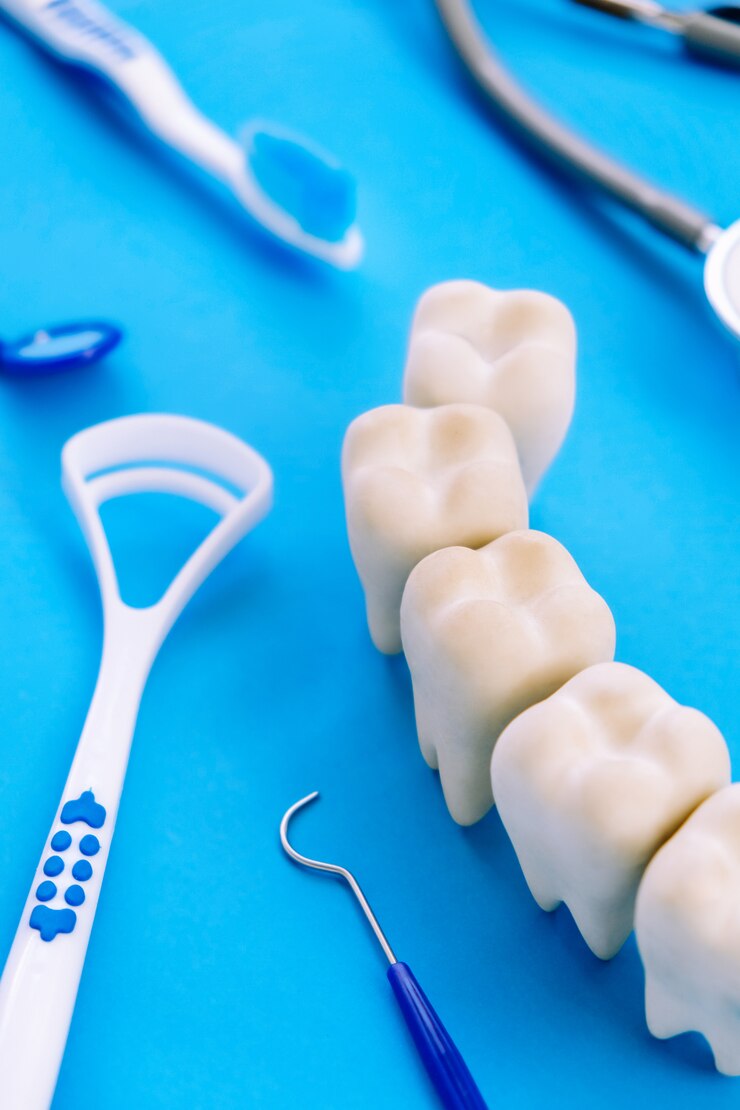 Dental model and dental equipment on blue