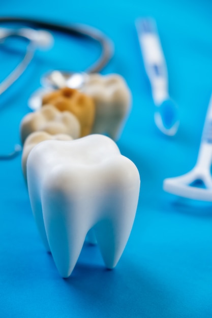 Dental model and dental equipment on blue