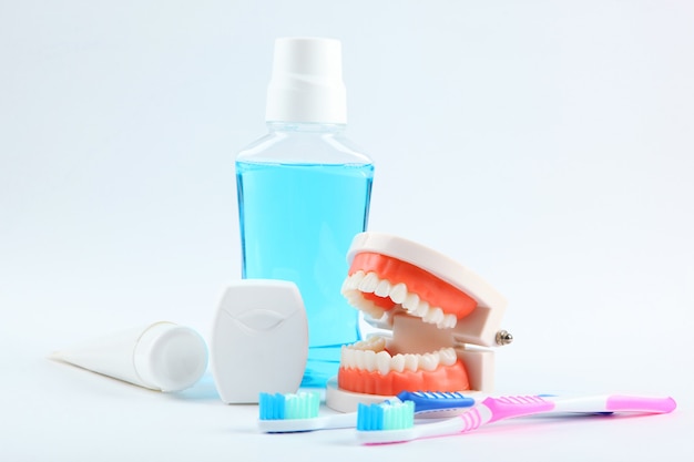 Dental model of teeth and dental care products on colored background