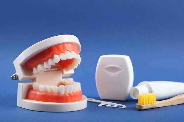 Dental model of teeth and dental care products on colored background