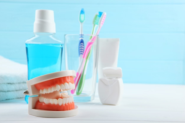 Dental model of teeth and dental care products on colored background