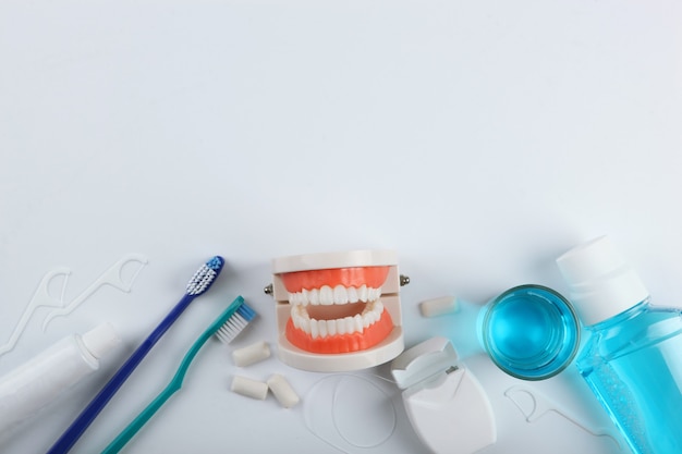 dental model of teeth and dental care products on colored background