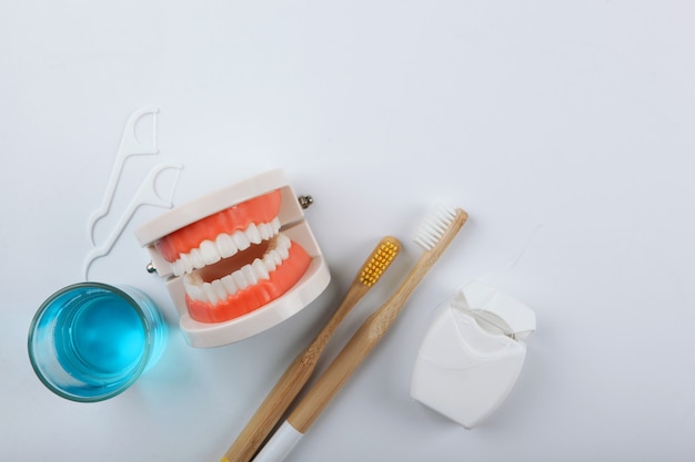 Dental model of teeth and dental care products on colored background