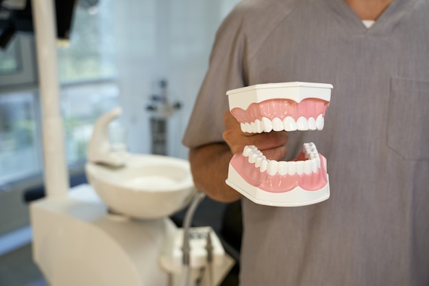 Dental technician posing with replica of teeth