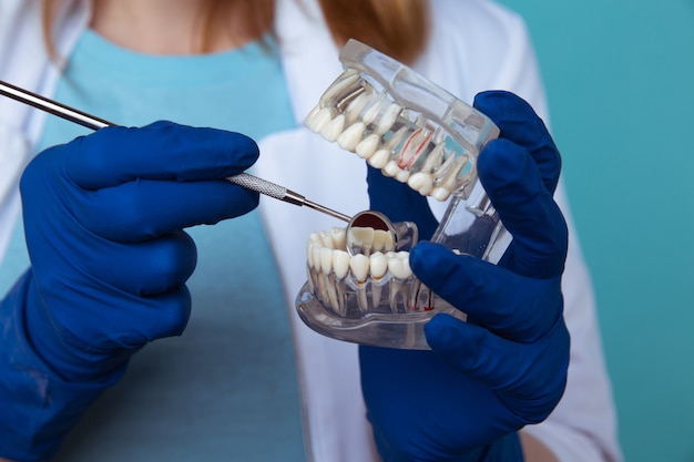 Dentist appointment, dentistry instruments and dental hygienist checkup concept with teeth model dentures and stomatology instruments on dark grey. Regular checkups are essential to oral health.