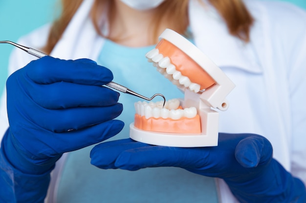 dentist appointment, dentistry instruments and dental hygienist checkup concept with teeth model dentures and stomatology instruments on dark grey. regular checkups are essential to oral health