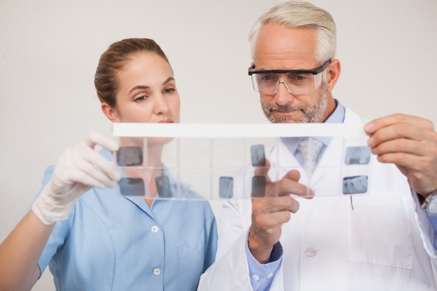 Dentist and assistant studying x-rays