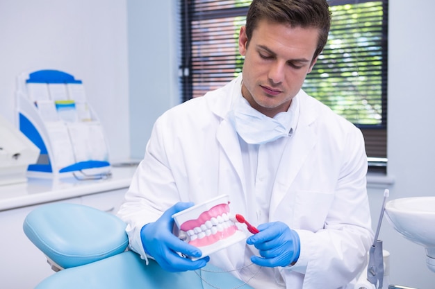 Dentist brushing dental mold