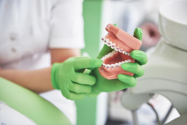 The dentist demonstrates how the braces are correcting the teeth using an artificial jaw model