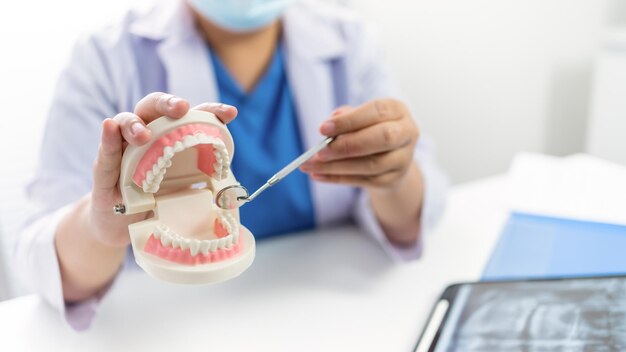 치과 진료소의 치과 의사 구강 외과 의사의 치과 모델이있는 흰색 건강한 치아 태블릿 의학 의료 구강 수술 개념에 대한 턱 엑스레이 논의