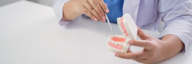 Dentista presso la clinica odontoiatrica dente sano bianco con modello dentale in chirurghi orali che discutono dei raggi x della mascella sul concetto di chirurgia orale sanitaria della medicina tablet