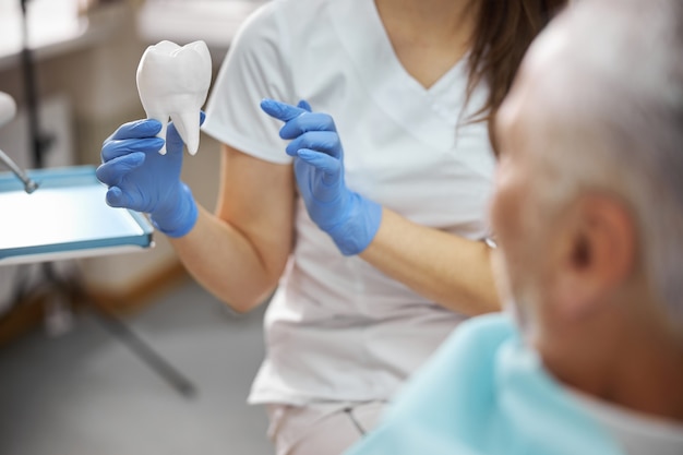 dentist holding a big white model of a tooth while showing it to a senior patient