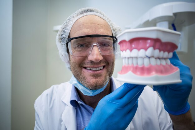 Dentist holding a mouth model