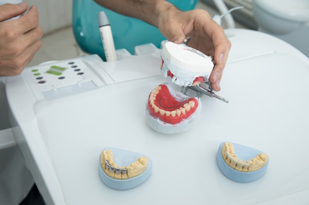 The dentist holds a mock jaw in his hand