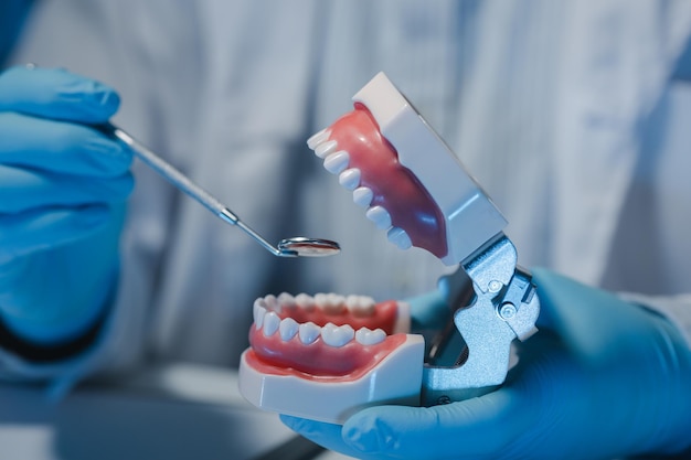 A dentist is using specialized dental equipment to inspect dentures to study the anatomy of the teeth before using the knowledge to treat patients Dentures are being studied by oral specialists