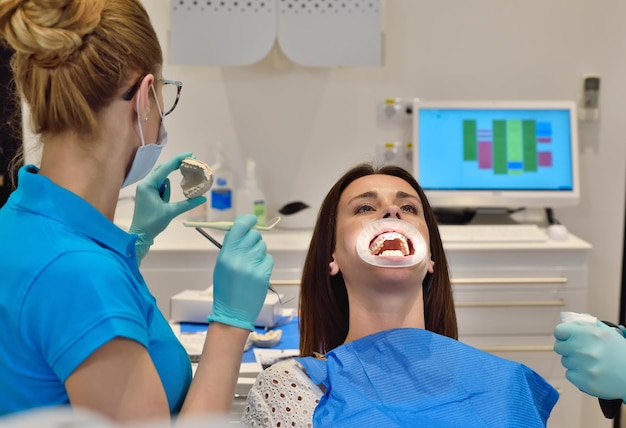 Dentist looking on jaw cast