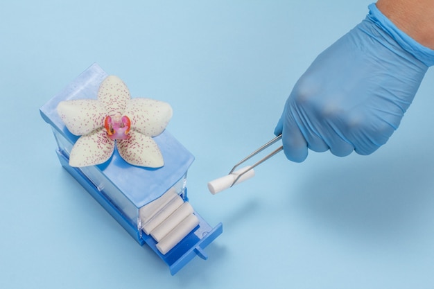 Рука дантиста в латексной перчатке с пинцетом и хлопковым тампоном на синем фоне. Концепция медицинских инструментов. Вид сверху.