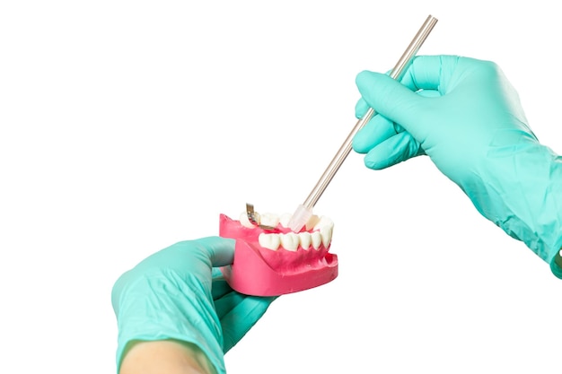 Dentist's hands in gloves with saliva ejector and human jaw layout