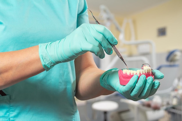 Foto mani del dentista con disposizione della mascella umana e curette