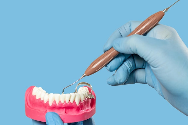 Dentist's hands with layout of the human jaw and dental instrument