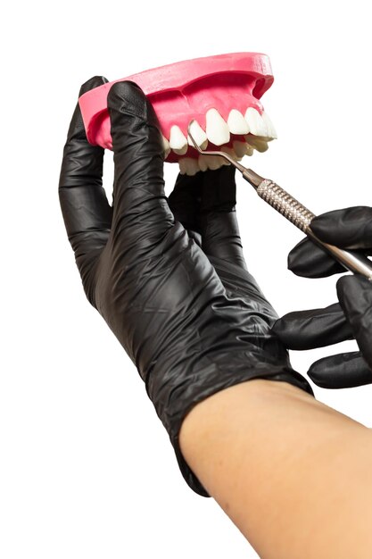 Dentist's hands with layout of the human jaw and midical tool