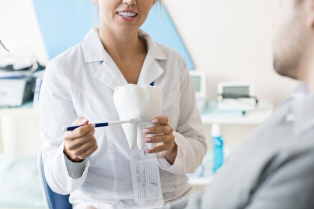 Dentista che mostra come lavarsi i denti