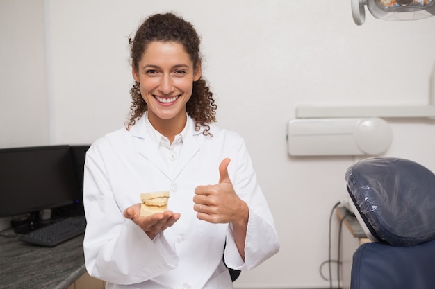 Dentist showing thumbs up and holding mouth model