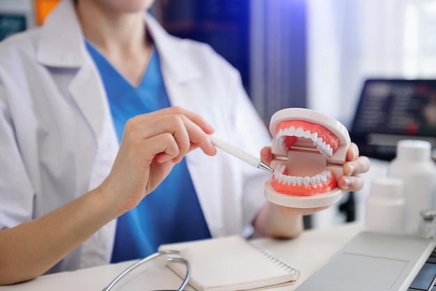 Dentist sitting at table with jaw samples tooth model and working with tablet and laptop in dental office professional dental clinic medical doctor workingxA