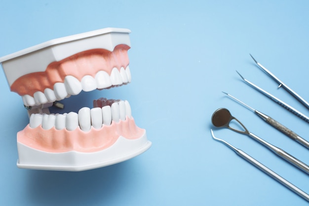 Dentist tools and artificial jaw on a blue background