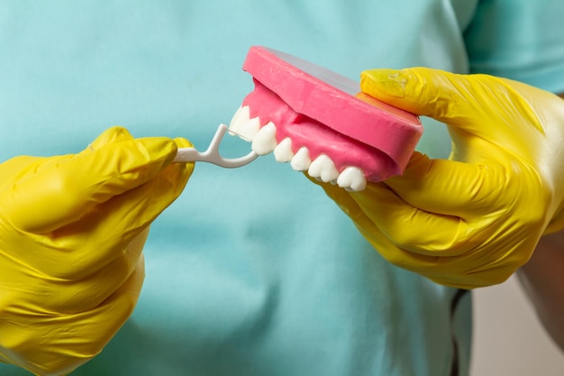 Dentist with floss toothpick and layout of the human jaw