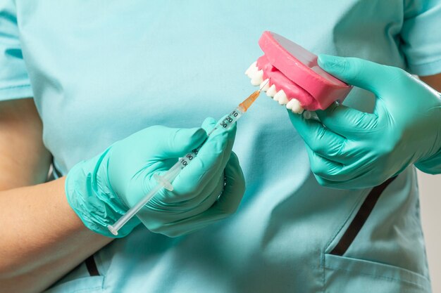 Dentist with layout of the human jaw and syringe