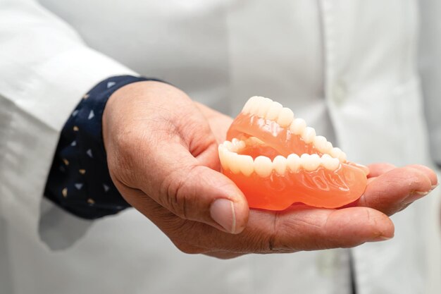 Denture dentist holding dental teeth model to study and treat in hospital