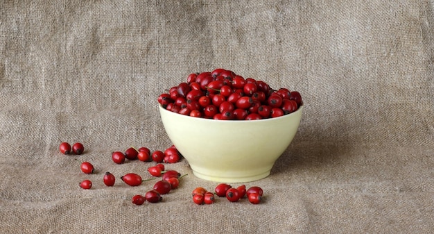 Depicted is a ceramic bowl filled with red ripe wild rose hips The background is a rough fabric