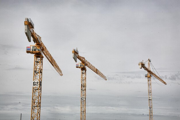 Foto des grues toulousaines