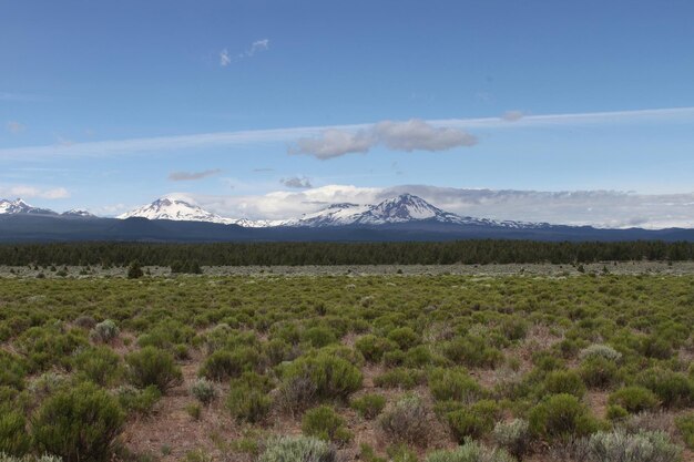 Deschutes Wilderness