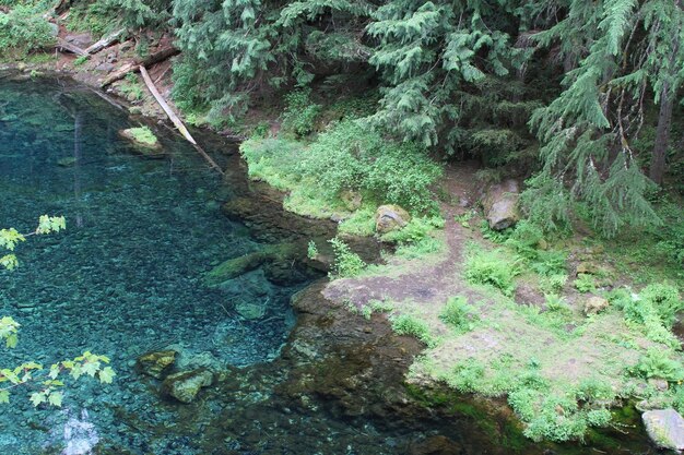 Deschutes Wilderness