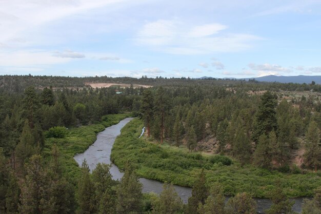 Deschutes-wildernis